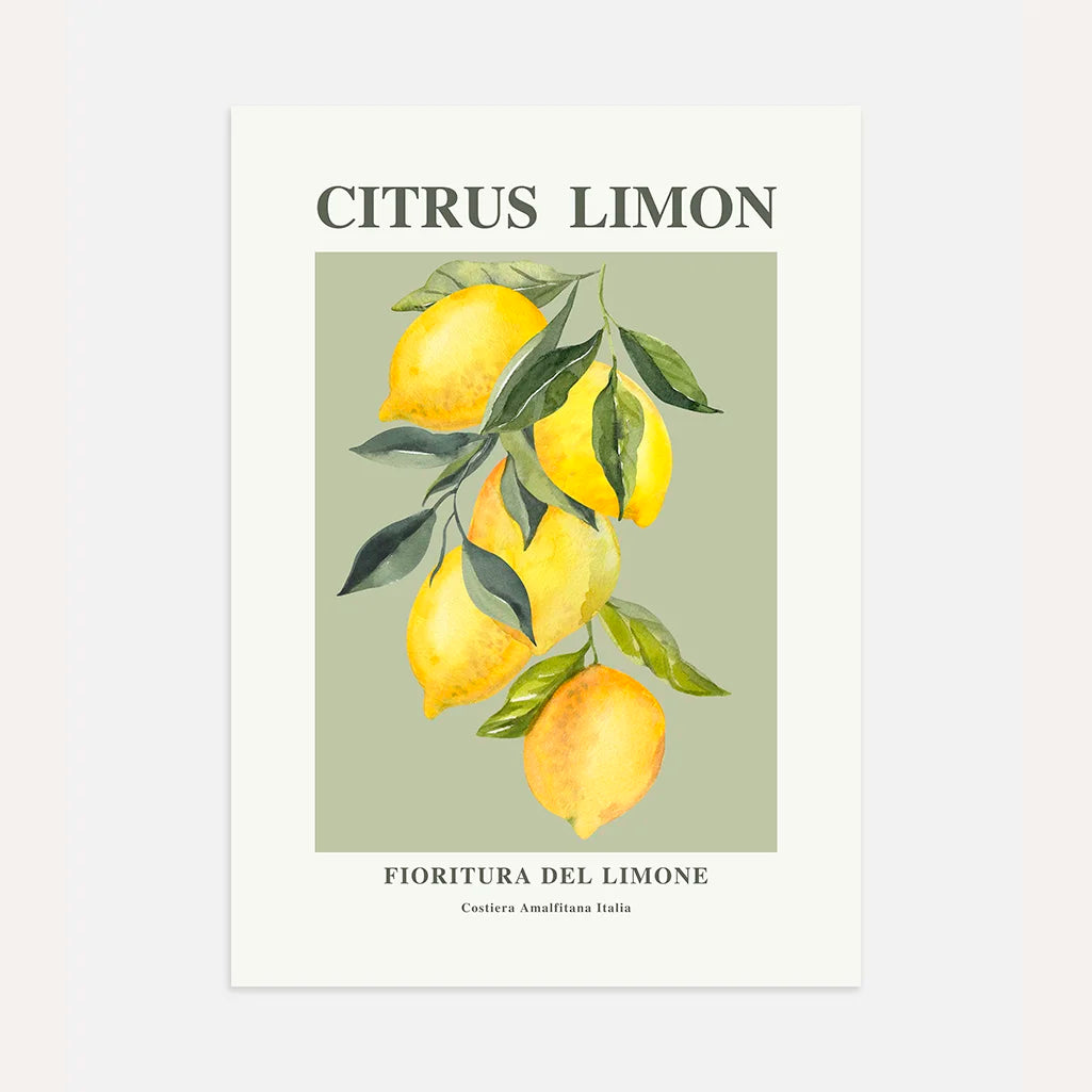 Citrus Limon Poster