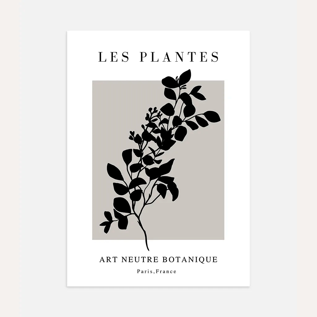 Noir Branch Botanical Poster