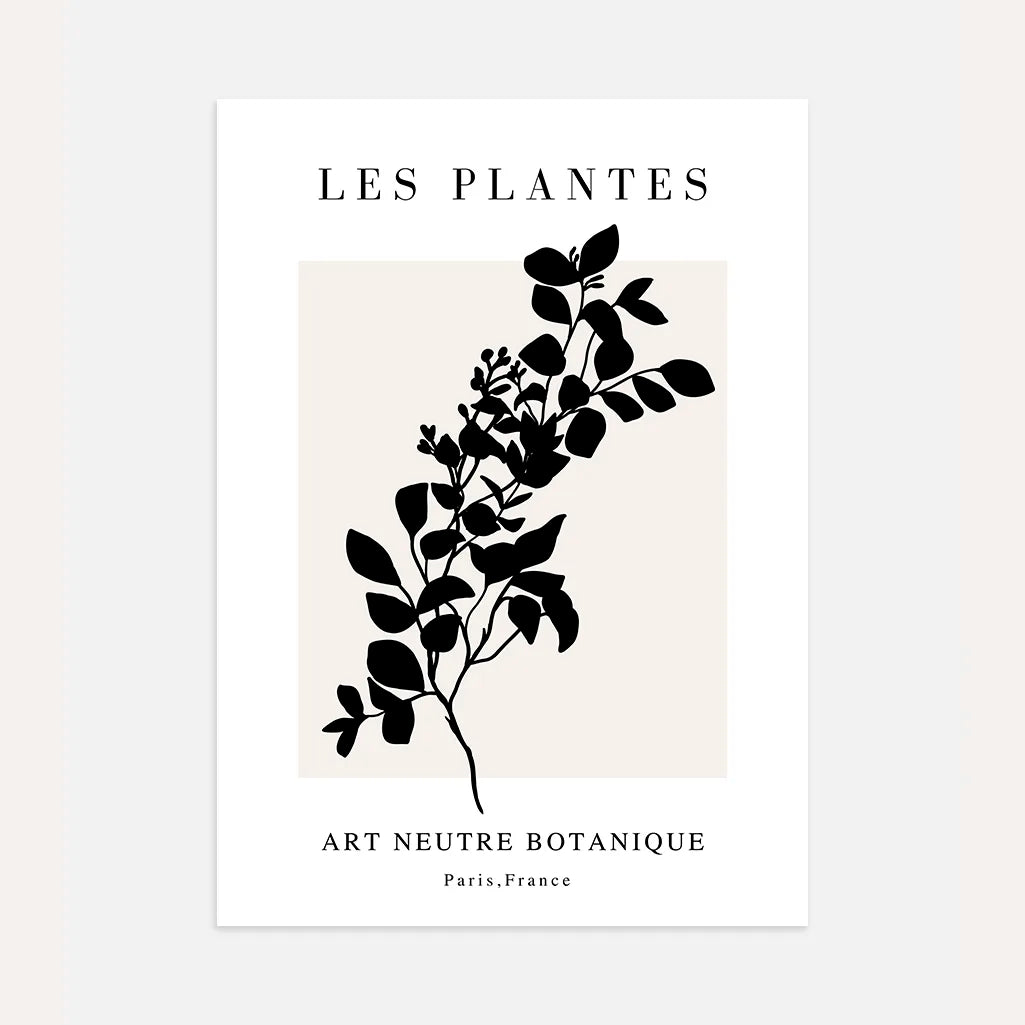 Parisienne Noir Botanical Poster