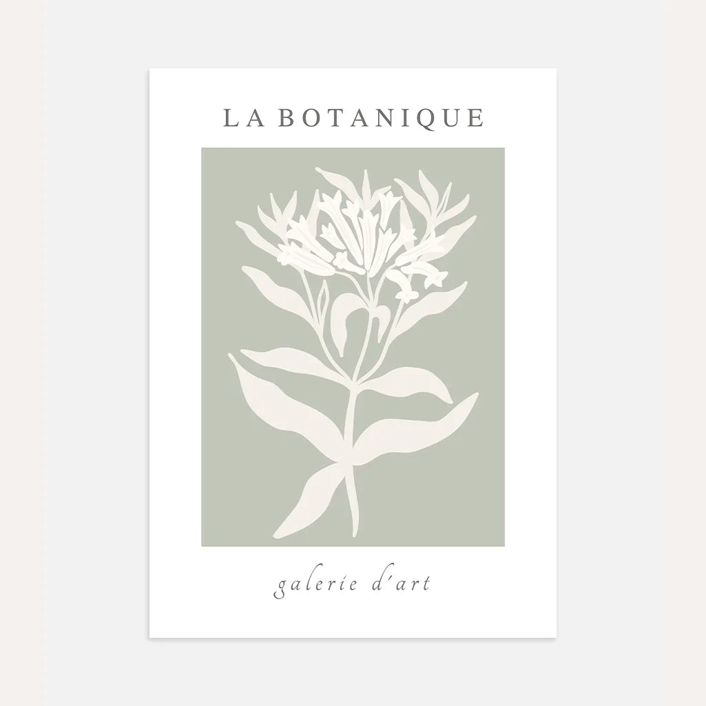 Sage Botanique Plant Poster