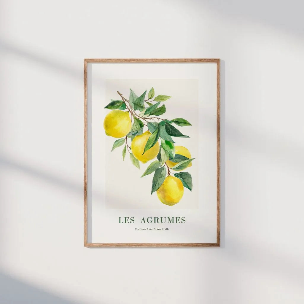 Les Agrumes Amalfi Lemon Poster