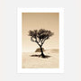 solitary tree poster desert landscape wall art